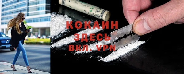шишки Бронницы