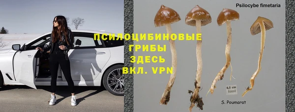 шишки Бронницы