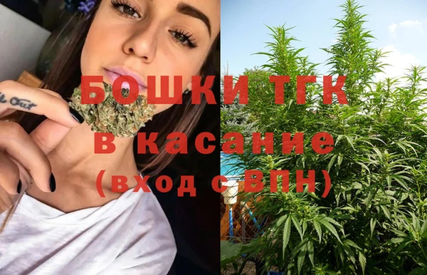 шишки Бронницы