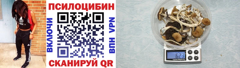 Псилоцибиновые грибы MAGIC MUSHROOMS  наркота  Бородино 